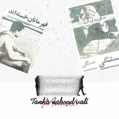 مهدی مانسل – تنها نبود ولی